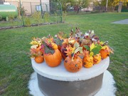 Veselé dýňování s rodiči